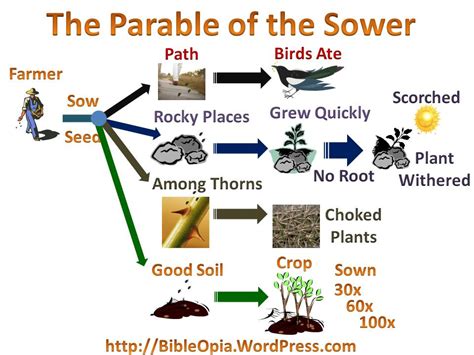 The Parable Of The Sower Activity For Kids