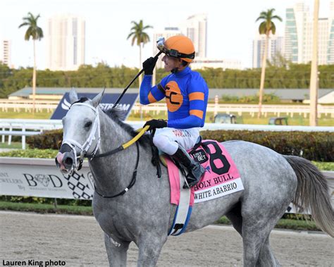 KY Derby Contender White Abarrio Pleases In Gulfstream Breeze - Horse ...