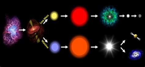 Star Life Cycle - Massive Diagram | Quizlet