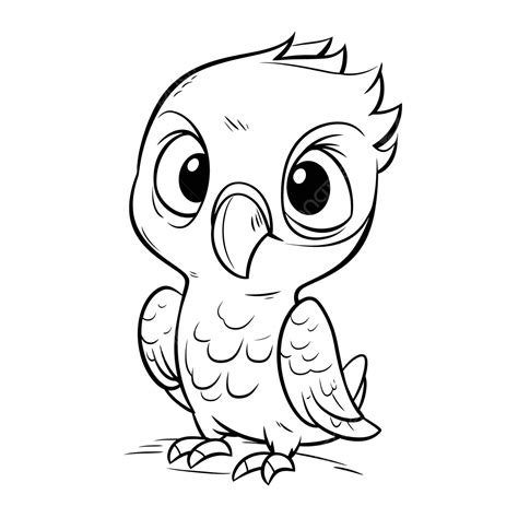 Cute Baby Bird Coloring Pages Animal E Outline Sketch Drawing Vector, Simple Parrot Drawing ...