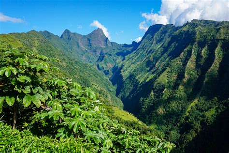 BILDER: Die Top Sehenswürdigkeiten von Französisch Polynesien | Franks ...