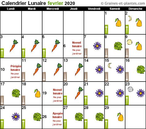 Calendrier Lunaire Du Mois De Fevrier 2024 - calendrier gratuit 2024