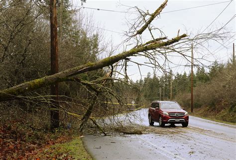 Crews work to restore power after Pacific Northwest storm | AP News