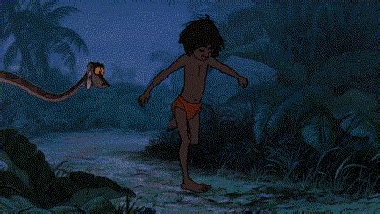 Kaa Mowgli GIF - Kaa Mowgli The jungle book - Discover & Share GIFs