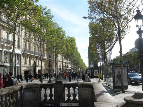 PARIS STREET TREES | Street trees, Paris street, Street