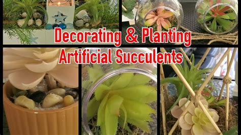 Decorating & Planting Artificial Succulents | Dollar Tree Succulents ...