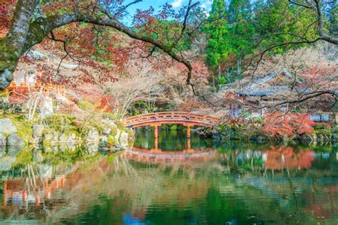 Free Photo | Daigo-ji temple in autumn, kyoto, japan