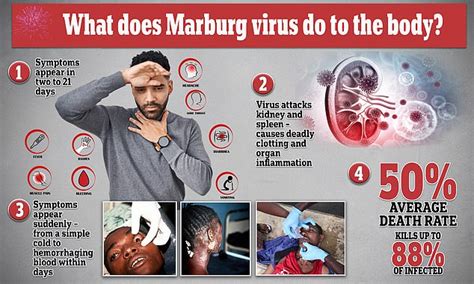 PRAY! THE MARBURG PLAGUE OUTBREAK IS FRIGHTENING! THE RACE FOR A ...