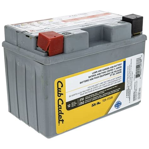 CUB CADET 210cca 11AHR Battery for Ultima ZT1 ZT2 ZTS1 ZTS2 ZTX4 ZTX5 ZTX6 - Part No. 725P17335 ...