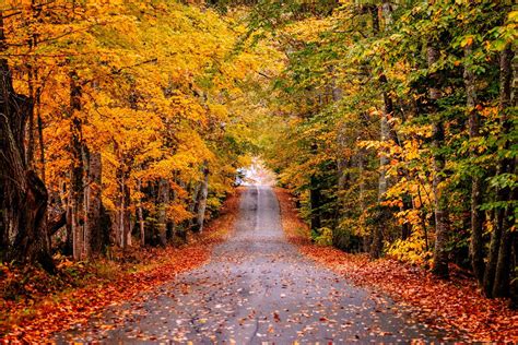 Our Favorite Places to View Fall Foliage in Maine - Allagash Brewing Company