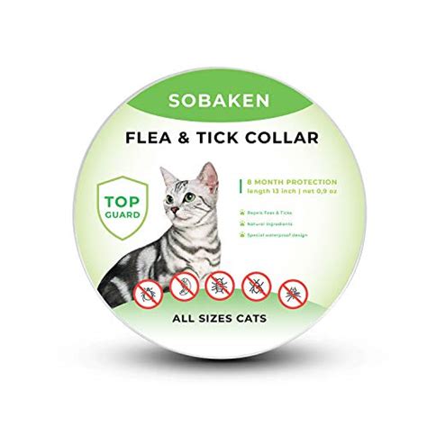 Best Natural Flea And Tick Prevention For Cats