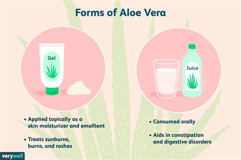 Aloe Vera for Anus: Benefits, Risks, and How to Use Safely - PlantHD