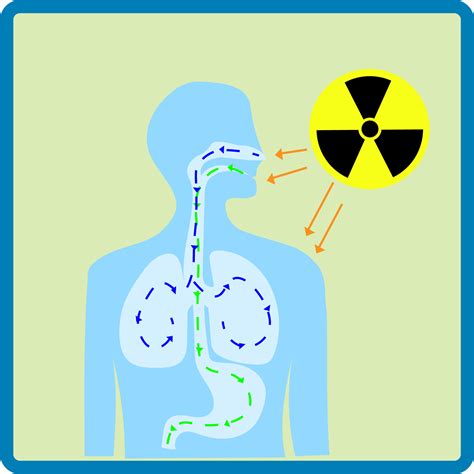 RadTown Radiation Exposure: Teacher Information | RadTown | US EPA