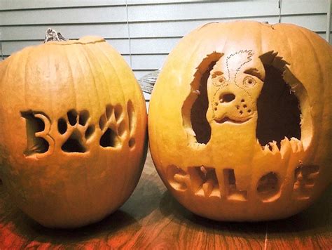 Dog Jack-o-Lantern Ideas to Showcase Your Puppy Love