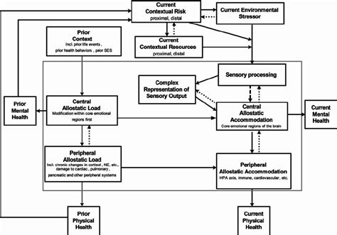 An allostatic model of response to a current stressor that highlights ...