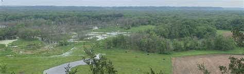 High Point Trail and Rock Top: 137 Reviews, Map - Illinois | AllTrails