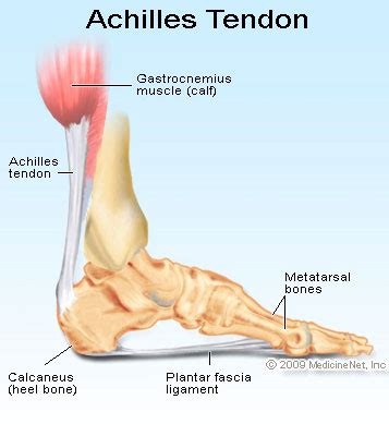 Heel Spur Symptoms - Causes of Achilles tendon Pain - Health and Fitness Tips