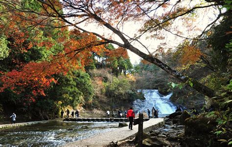 Hike the Yoro Valley | All About Japan