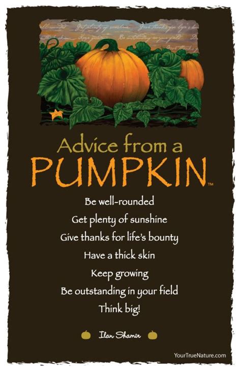 LOL! Funny Humor | Pumpkin, Autumn quotes, A pumpkin