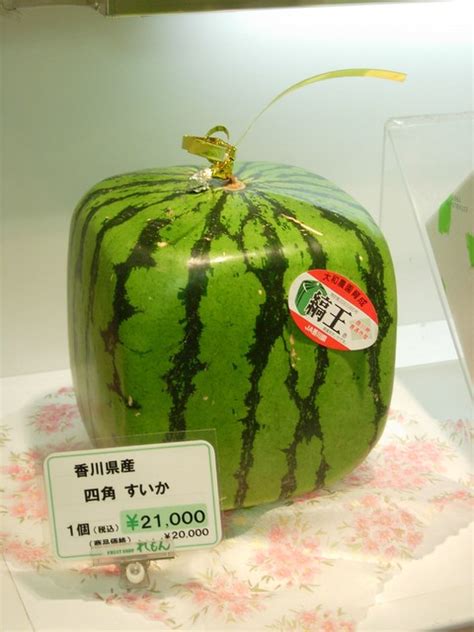 Square Watermelon! | Flickr - Photo Sharing!