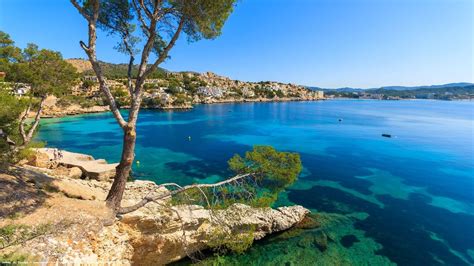 Palma, Menorca, tree, blue sea, coast, houses, Spain wallpaper | travel and world | Wallpaper Better