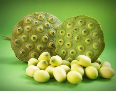 How To Eat Raw Lotus Seeds - Recipes.net