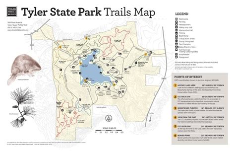 Tyler State Park Map – Map Of The Usa With State Names