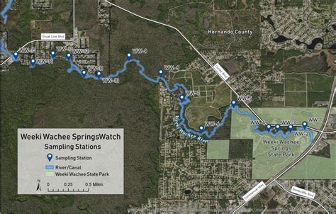 SpringsWatch: Weeki Wachee River – Florida Springs Institute