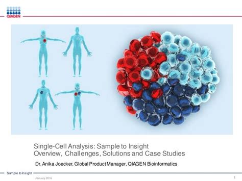 Analysis of Single-Cell Sequencing Data by CLC/Ingenuity: Single Cell…