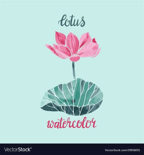 Watercolor lotus flower isolated Royalty Free Vector Image