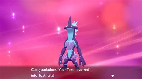 Pokémon Sword and Shield Guide: How To Evolve Toxel