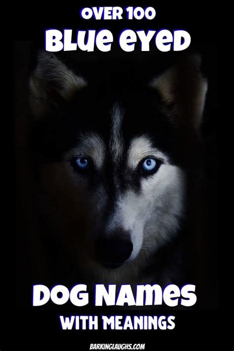 Are you looking for some cool blue eyed dog names? We have over 100 ...