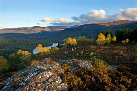 Forest & Woodland - Cairngorms National Park Authority