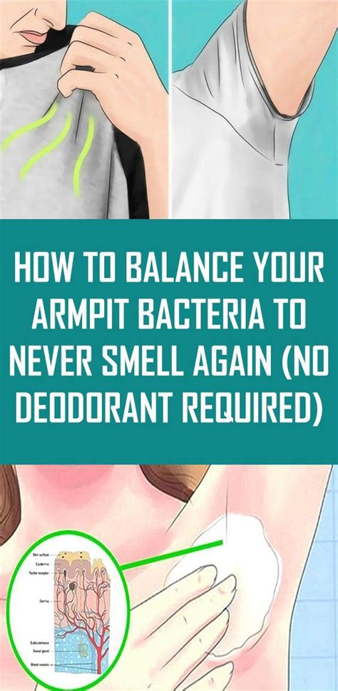 How To Balance Your Armpit Bacteria To Never Smell Again (No Deodorant Required)!!! - Living For ...