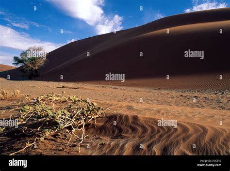 Desert in Namibia Stock Photo - Alamy