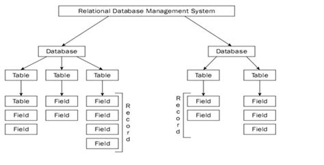 Types And Classification Of Database Management System