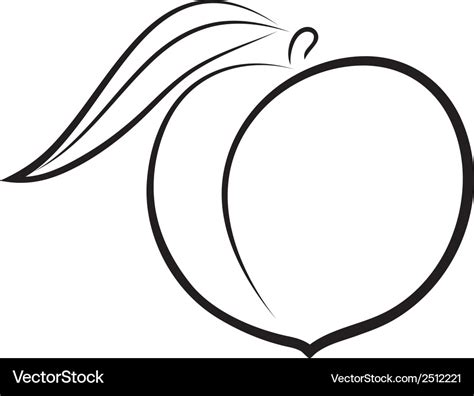 Sketch of peach Royalty Free Vector Image - VectorStock