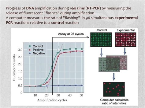 Types of PCR | PPT