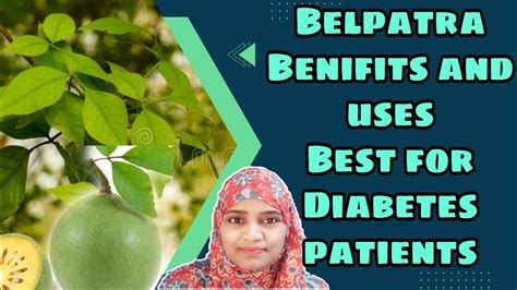 Belpatra Benifits and uses ll Belpatra Best for sugar (Diabetes) patients #belpatra # ...