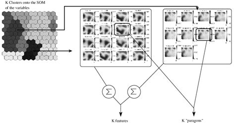 SOM-based dimensionality reduction and variable selection | Download ...