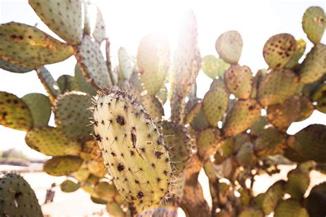 How to Visit Teotihuacan for an Unforgettable Sunrise