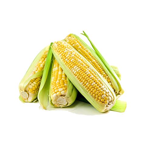 Corn Free PNG Image - PNG All | PNG All