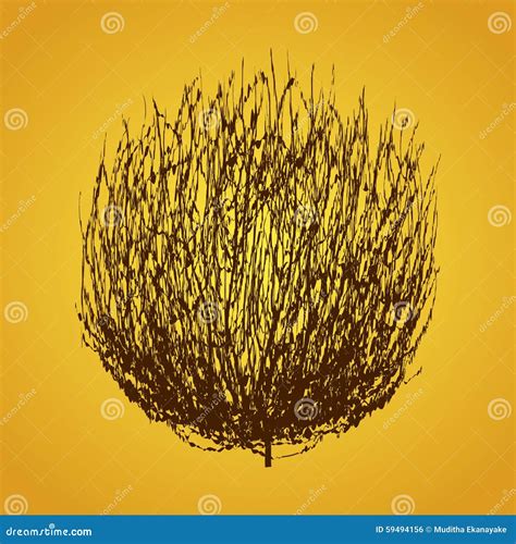 Tumbleweed drawing vector stock vector. Illustration of decoration - 59494156
