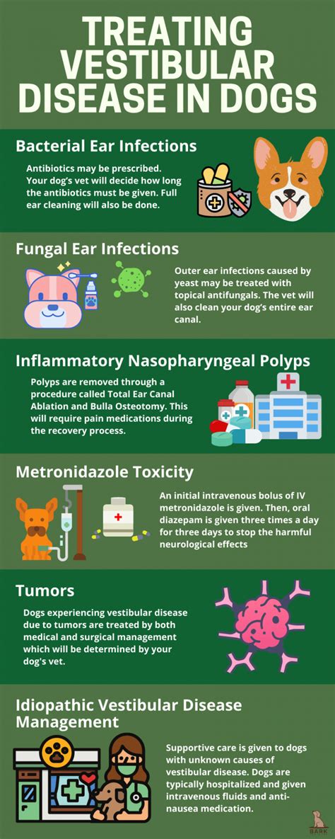 Learning About Vestibular Disease In Dogs | Bark For More