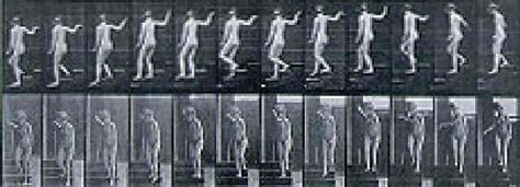 Human locomotion females by Eadweard Muybridge on artnet