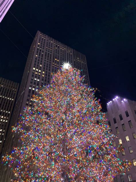 Boston common christmas tree – Artofit