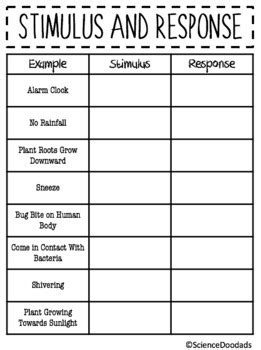 Stimulus & Response - Card Sort & Partner Activity by Science Doodads