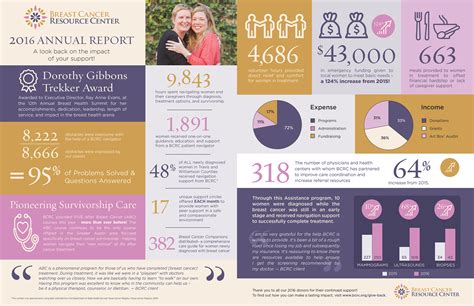 Annual Report Infographic 2017 - Website and Print Design | Austin TX