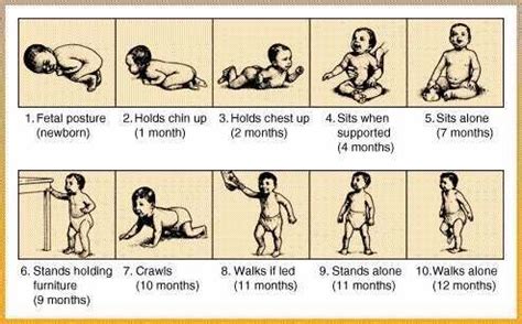 84 best images about Child Development on Pinterest | Child development ...