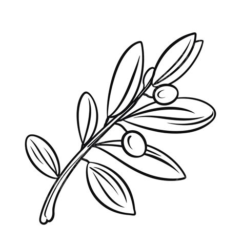 Olive Tree Clipart Black And White